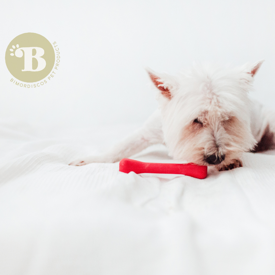 BIMORDISCOS Hueso para perros ELASTIC BONE, , large Imagen numero 5